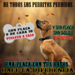 Chapas para Perros Identificadoras