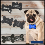 Chapas para Perros Identificadoras